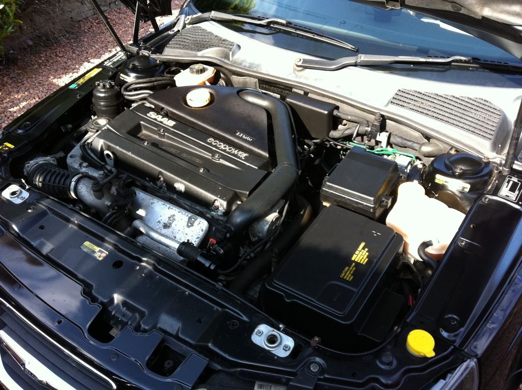 post a pic of your engine bays ) Page 2 Detailing World Forum
